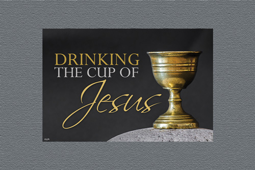 29th Sunday in Ordinary Time, October 20, 2024