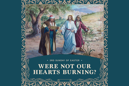 3rd Sunday of Easter, 2026