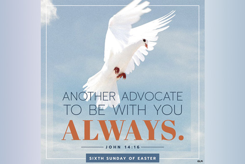 6th Sunday of Easter, 2026